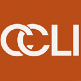 Climate Litigation – Briefing note for boards – CCLI